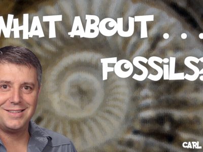What About… Fossils?