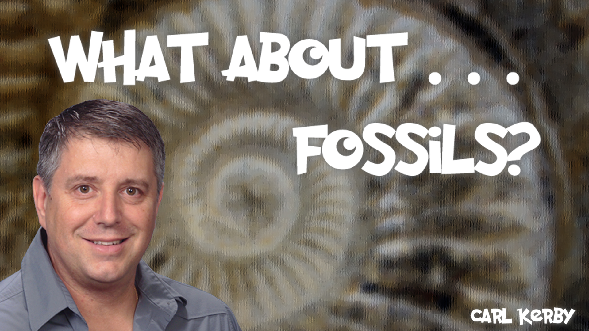 What About… Fossils?